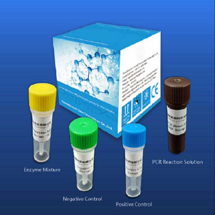 Xirmooyinka Tijaabada Baadhista Reagent ee Covid-2019 Waxay kuxirantahay Platform PCR-waqtiga-dhabta ah